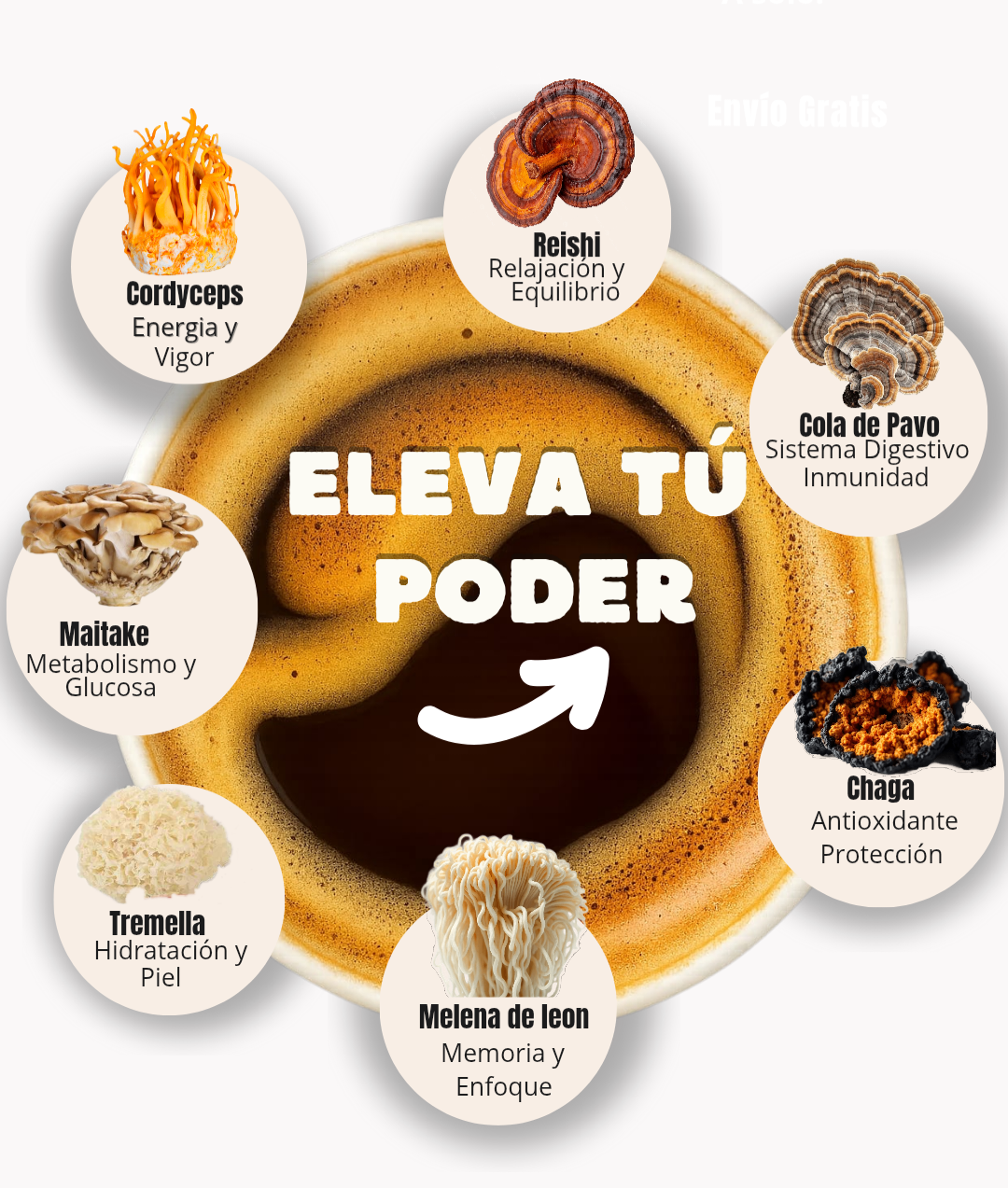 Café Funcional Soluble con 7 Adaptógenos| Mushrooms Coffee 7en1🥇